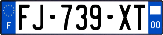 FJ-739-XT