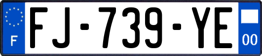 FJ-739-YE