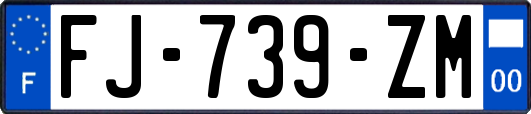 FJ-739-ZM