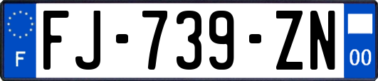 FJ-739-ZN