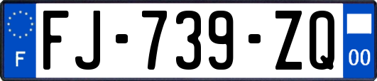 FJ-739-ZQ