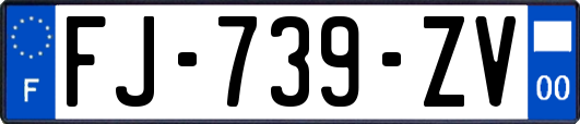 FJ-739-ZV