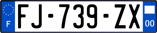 FJ-739-ZX