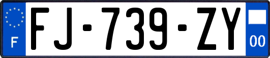 FJ-739-ZY