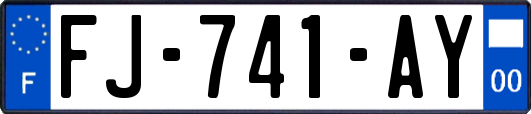 FJ-741-AY