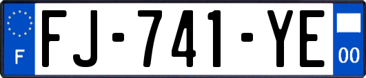 FJ-741-YE