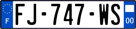 FJ-747-WS