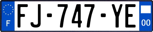 FJ-747-YE