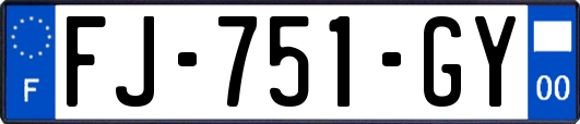 FJ-751-GY