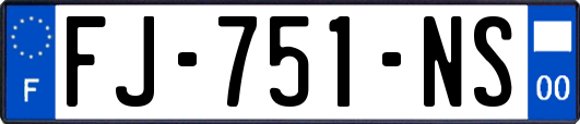 FJ-751-NS