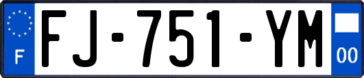 FJ-751-YM