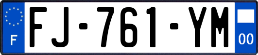 FJ-761-YM