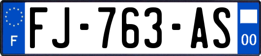 FJ-763-AS