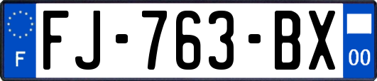 FJ-763-BX