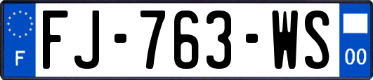 FJ-763-WS