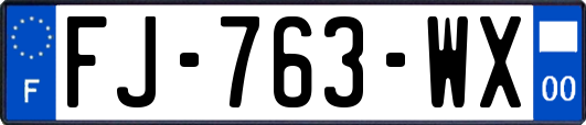 FJ-763-WX