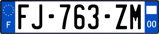 FJ-763-ZM
