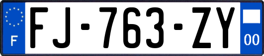 FJ-763-ZY