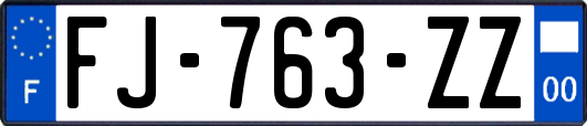 FJ-763-ZZ