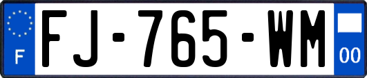 FJ-765-WM