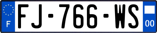 FJ-766-WS