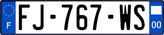 FJ-767-WS