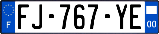 FJ-767-YE