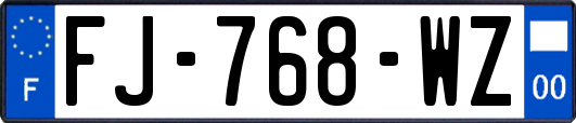 FJ-768-WZ