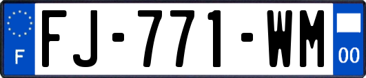 FJ-771-WM