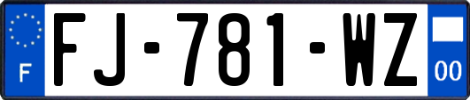 FJ-781-WZ