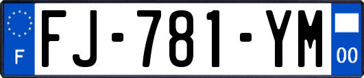 FJ-781-YM