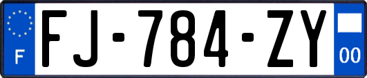 FJ-784-ZY