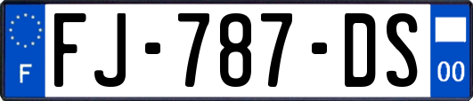 FJ-787-DS