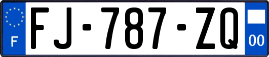 FJ-787-ZQ