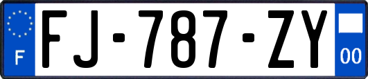 FJ-787-ZY