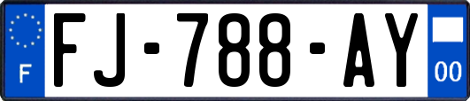 FJ-788-AY