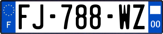 FJ-788-WZ