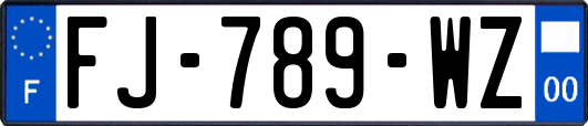 FJ-789-WZ