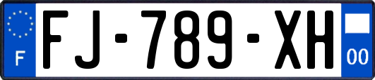 FJ-789-XH