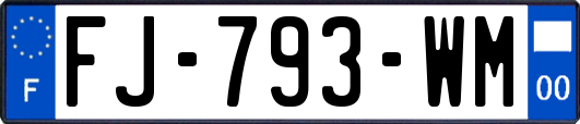 FJ-793-WM