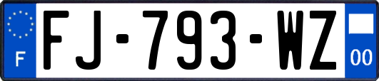 FJ-793-WZ