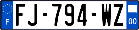 FJ-794-WZ