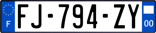 FJ-794-ZY