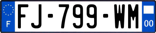 FJ-799-WM