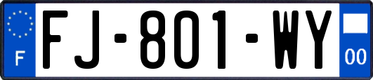 FJ-801-WY