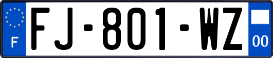 FJ-801-WZ