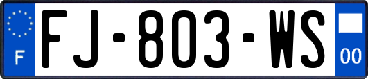 FJ-803-WS