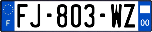 FJ-803-WZ