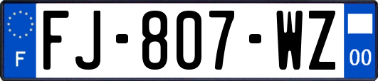 FJ-807-WZ