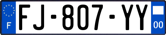 FJ-807-YY